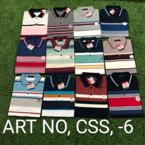 CSS-6