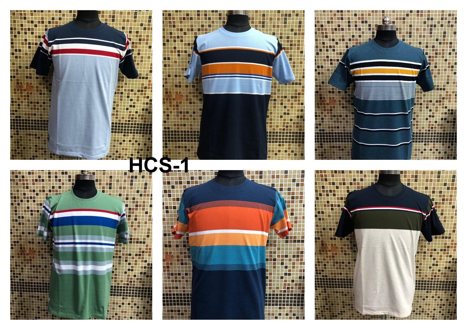 HCS-1